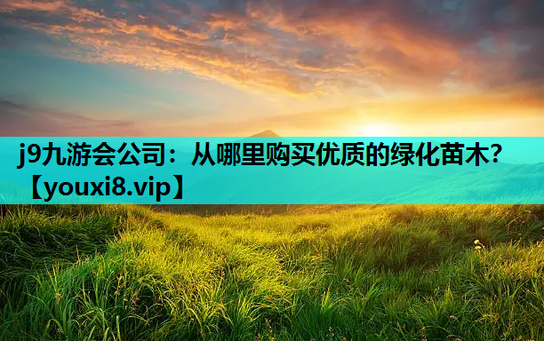 j9九游会公司：从哪里购买优质的绿化苗木？