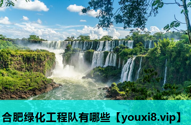 合肥绿化工程队有哪些