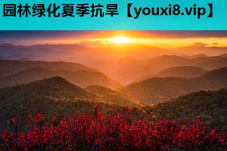 园林绿化夏季抗旱