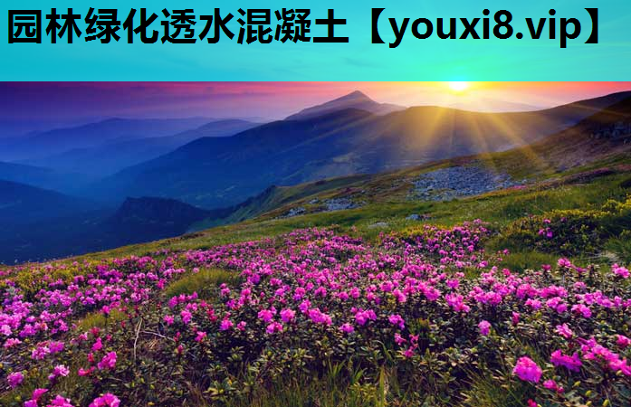 园林绿化透水混凝土
