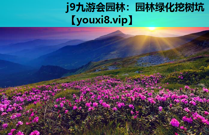 j9九游会园林：园林绿化挖树坑