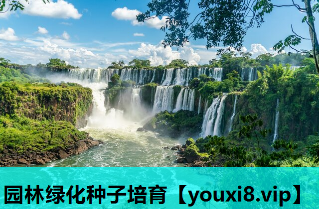 园林绿化种子培育