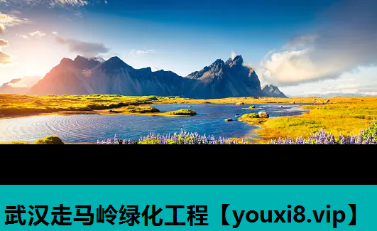 武汉走马岭绿化工程
