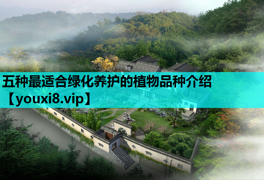 五种最适合绿化养护的植物品种介绍