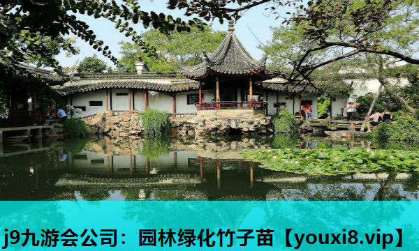j9九游会公司：园林绿化竹子苗