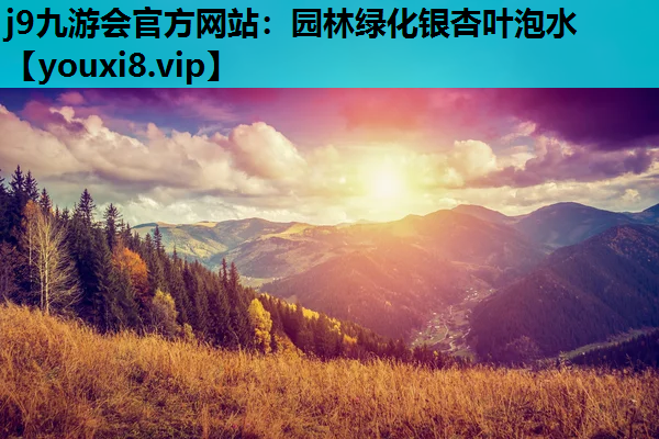 j9九游会官方网站：园林绿化银杏叶泡水